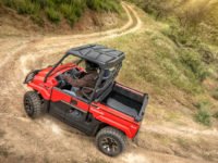 Kawasaki MULE-PRO MX EPS LE 2019