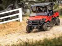 Kawasaki MULE-PRO MX EPS LE 2019