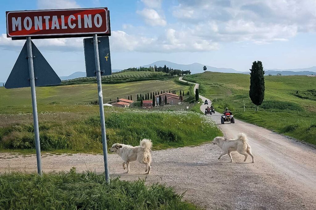 Tour dell’Eroica